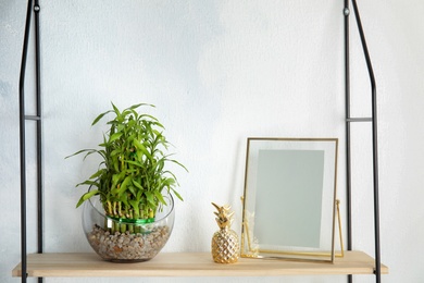 Shelf with green lucky bamboo in glass bowl and decor on light wall