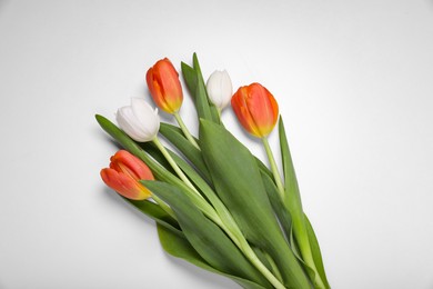 Beautiful colorful tulip flowers on white background, flat lay