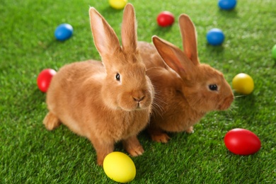 Cute bunnies and Easter eggs on green grass