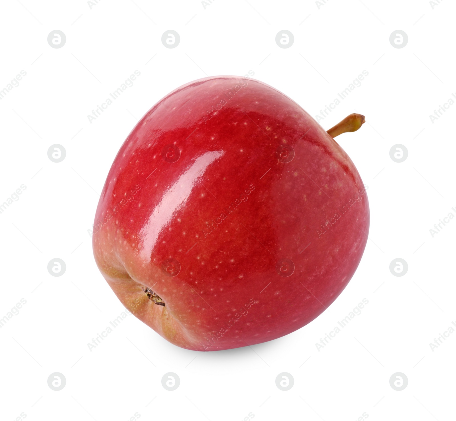 Photo of One ripe red apple isolated on white