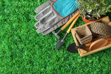Photo of Composition with plant and professional gardening tools on artificial grass