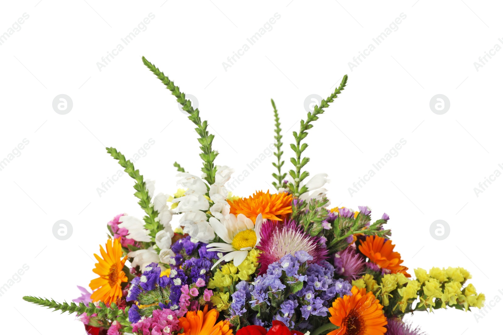 Photo of Bunch of beautiful wild flowers on white background