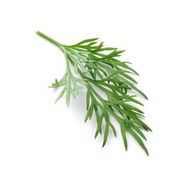 Photo of Sprig of fresh dill isolated on white