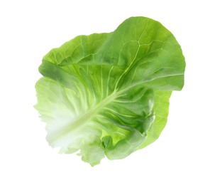 Photo of Fresh green butter lettuce leaf isolated on white