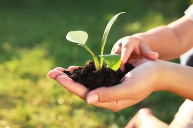 Mother holding tree seedling while child touching soil, closeup