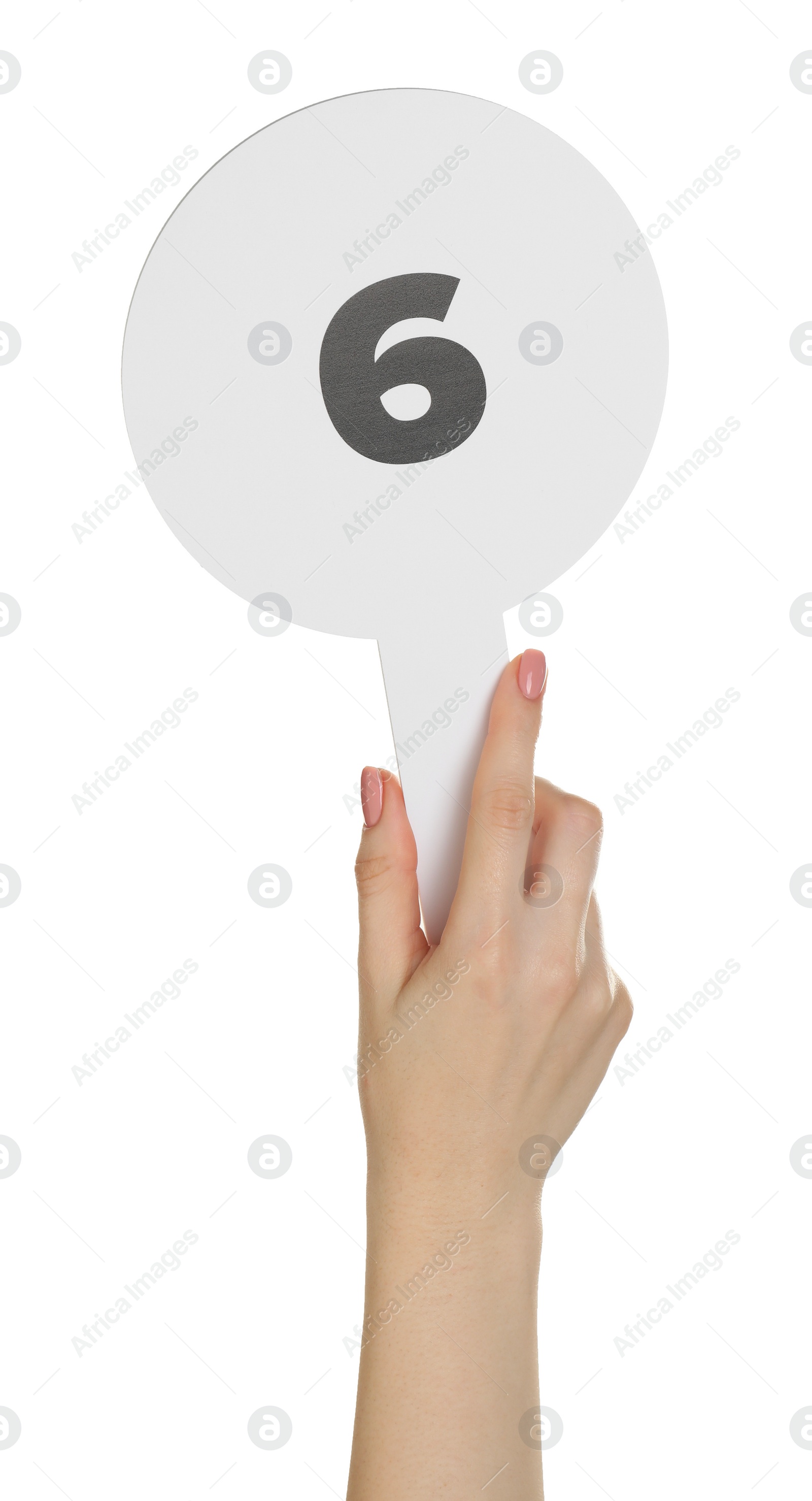 Photo of Woman holding auction paddle with number 6 on white background, closeup