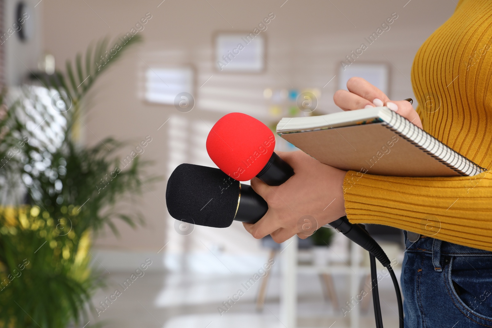 Photo of Professional journalist with microphones taking notes indoors, closeup