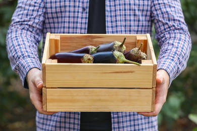 Photo of Man holding wooden crate with ripe eggplants outdoors, closeup