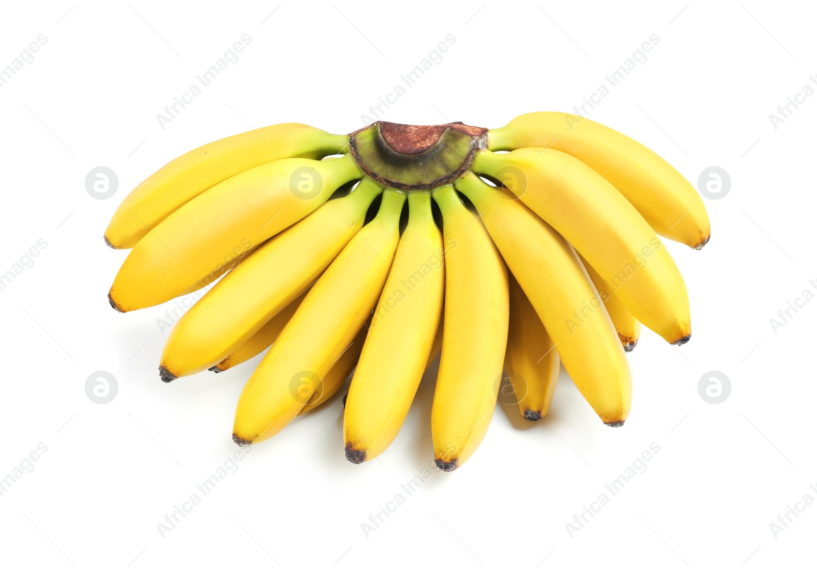 Photo of Bunch of ripe baby bananas on white background