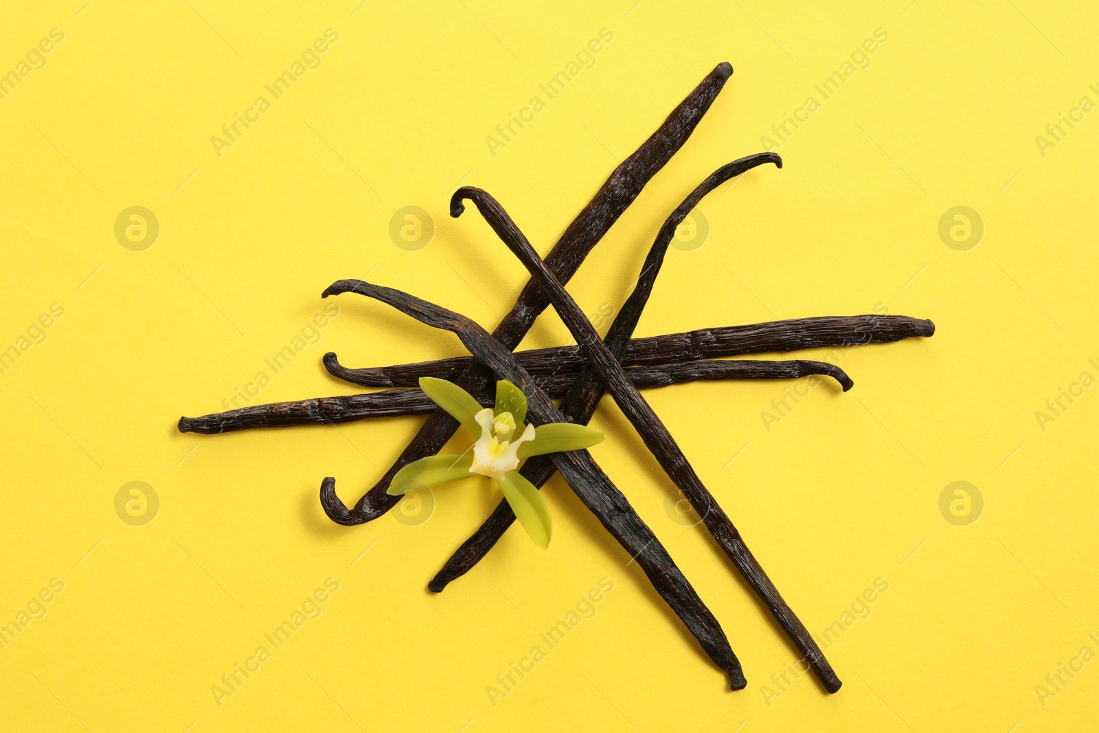 Photo of Vanilla pods and beautiful flower on yellow background, top view