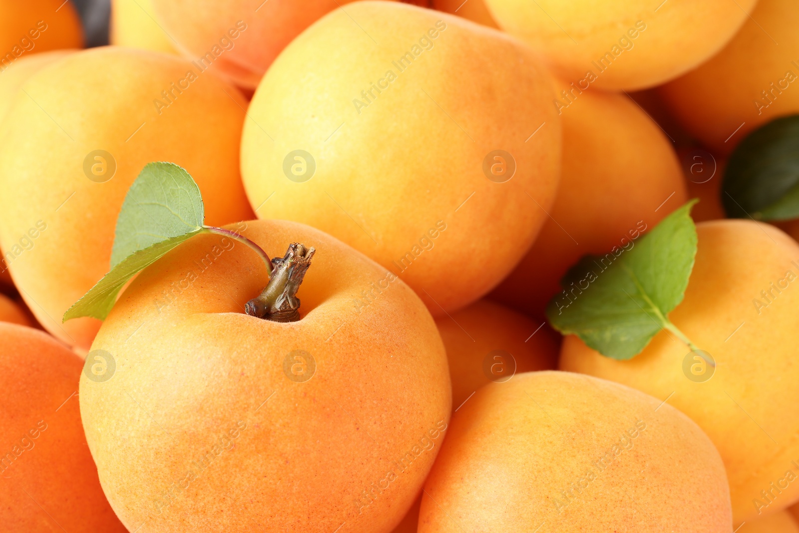 Photo of Delicious ripe sweet apricots with leaves as background, closeup view