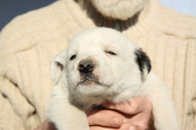 Photo of Man with stray white puppy outdoors, closeup. Baby animal