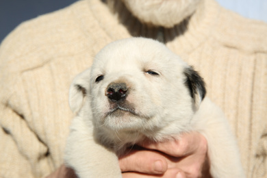 Man with stray white puppy outdoors, closeup. Baby animal