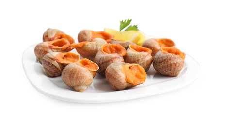 Delicious cooked snails with lemon and parsley isolated on white