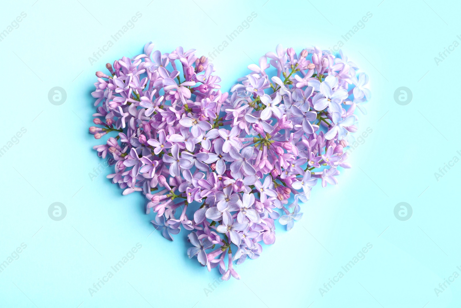 Photo of Heart made of blossoming lilac on color background, flat lay. Spring flowers