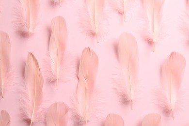 Photo of Beautiful feathers on light pink background, flat lay