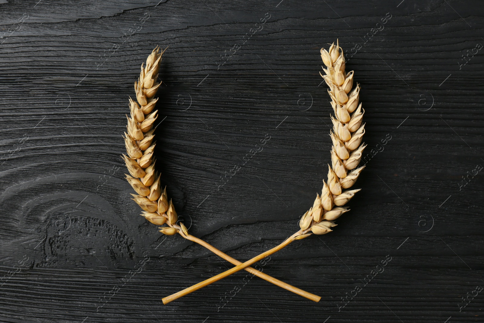 Photo of Ears of wheat on black wooden table, flat lay. Space for text