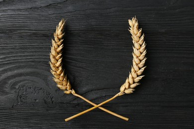 Ears of wheat on black wooden table, flat lay. Space for text