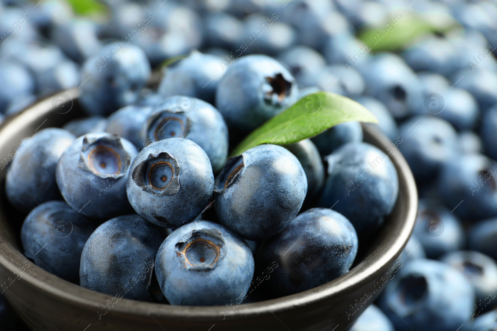 Photo of Tasty fresh blueberries and bowl, closeup view