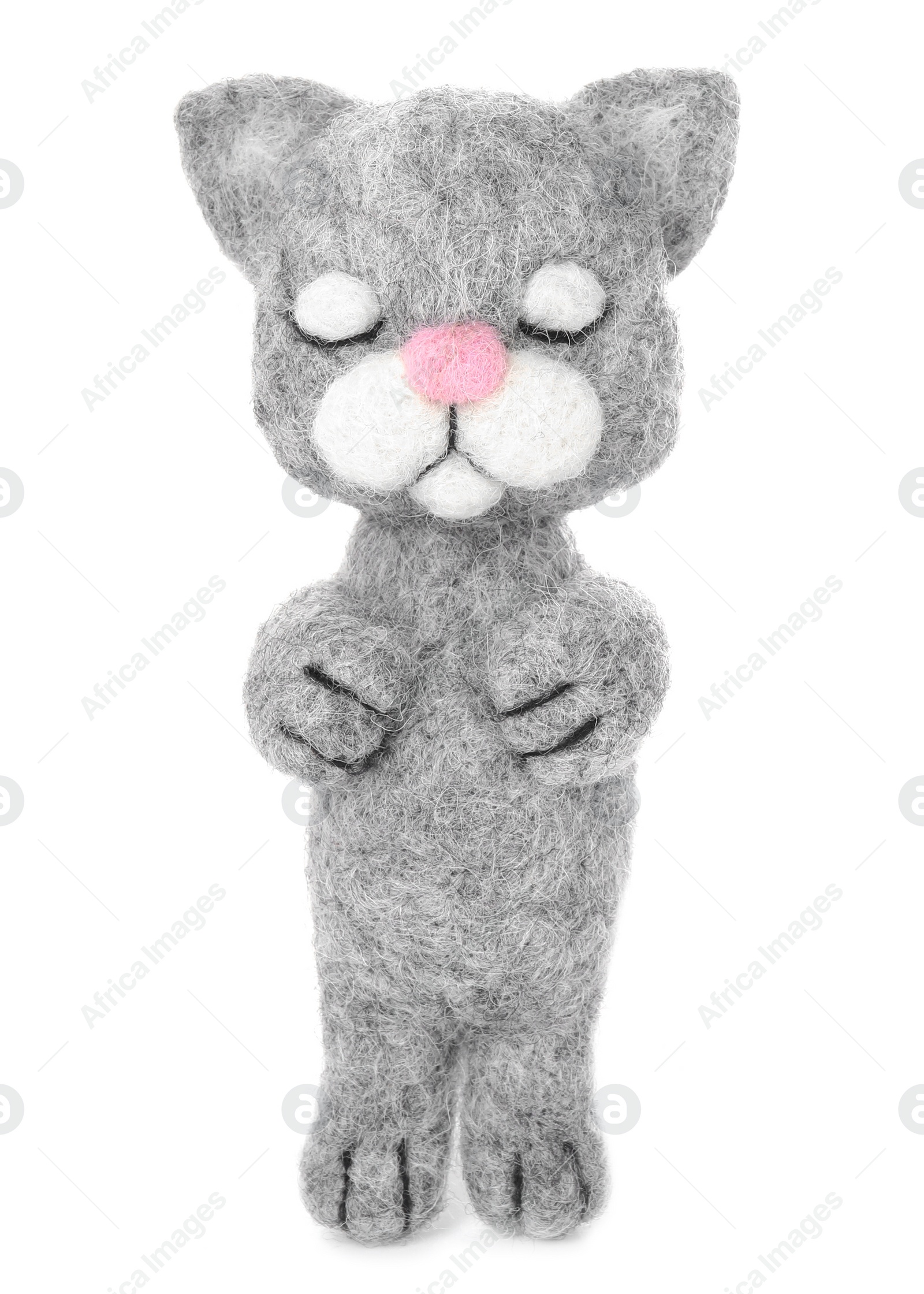 Photo of One needle felted cat isolated on white