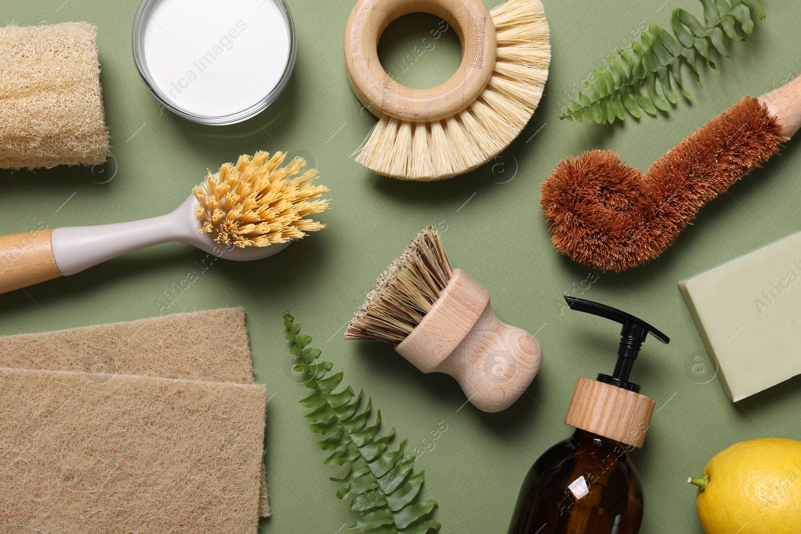 Photo of Different cleaning supplies and fern leaves on green background, flat lay