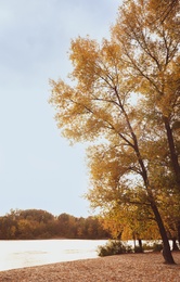 Picturesque view of river and trees with bright leaves. Autumn season