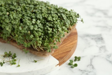 Photo of Fresh daikon radish microgreen on white marble table, space for text