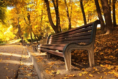 Photo of Wooden benches, pathway, fallen leaves and trees in beautiful park on autumn day. Space for text