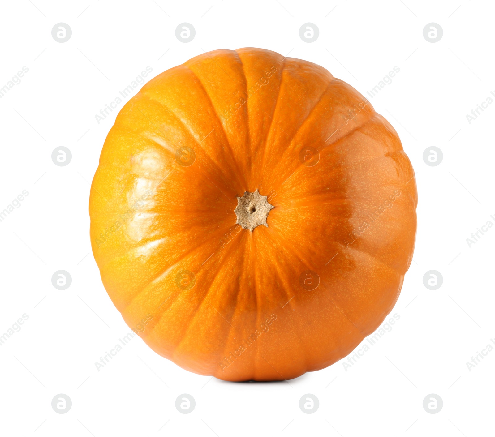 Photo of One fresh orange pumpkin isolated on white