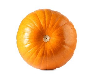 One fresh orange pumpkin isolated on white