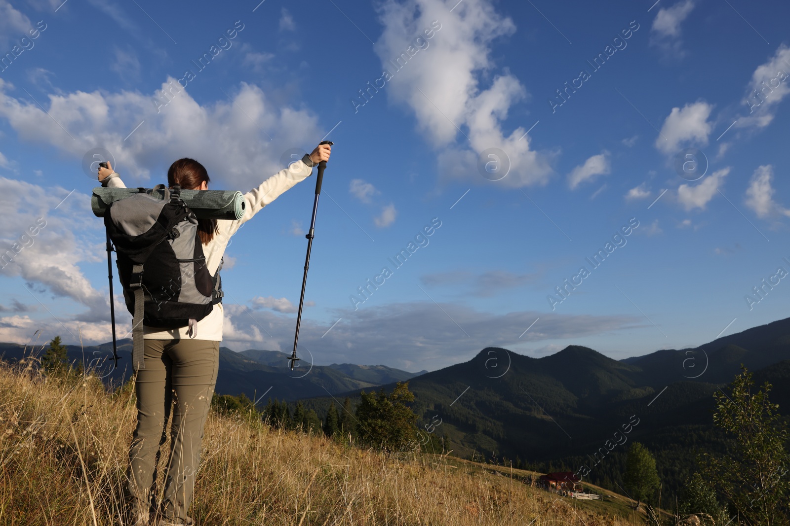 Photo of Triumphant tourist on top of mountain, back view. Space for text