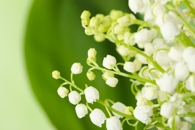 Photo of Beautiful lily of the valley flowers on blurred background, closeup