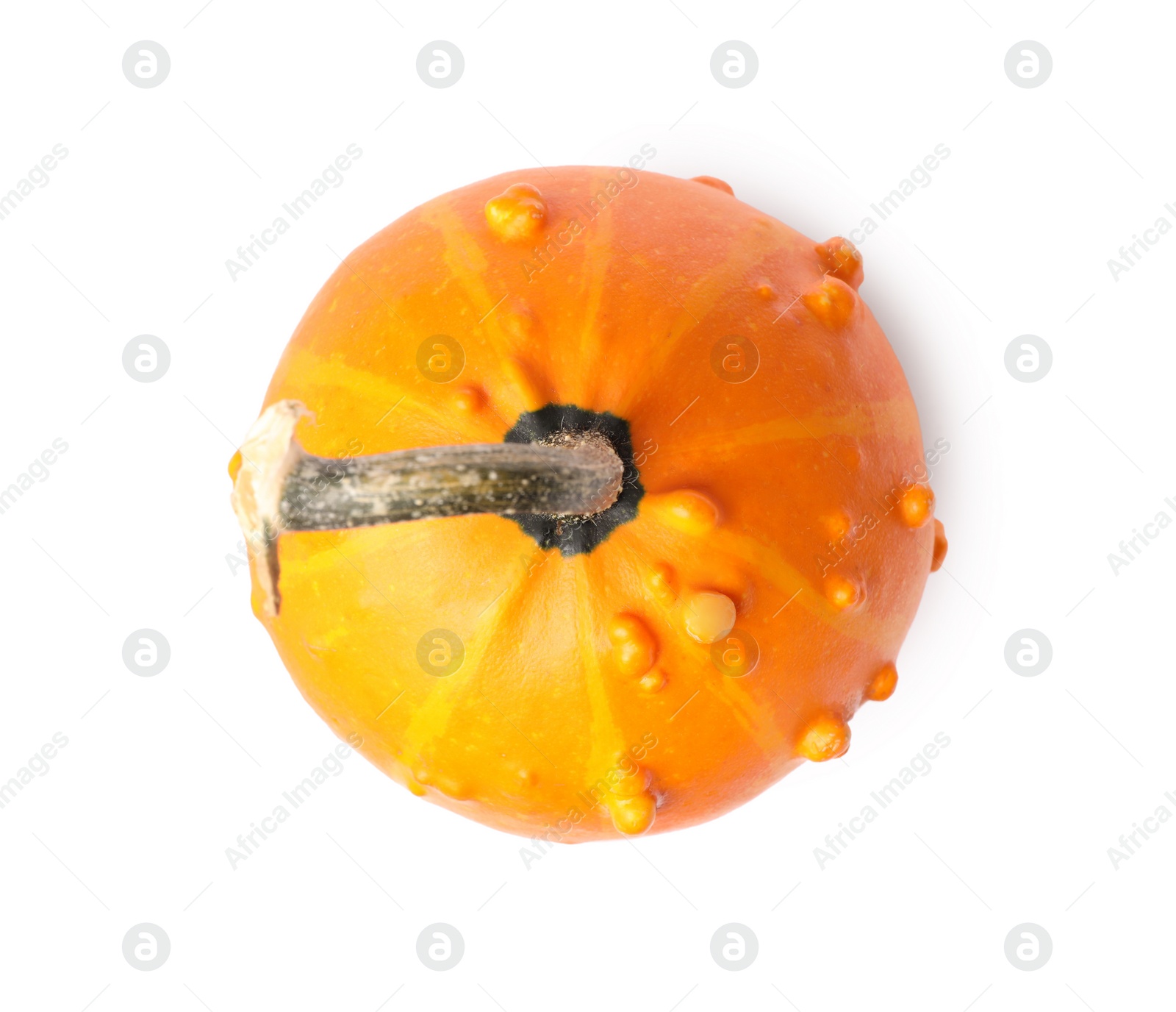 Photo of One orange pumpkin isolated on white, top view