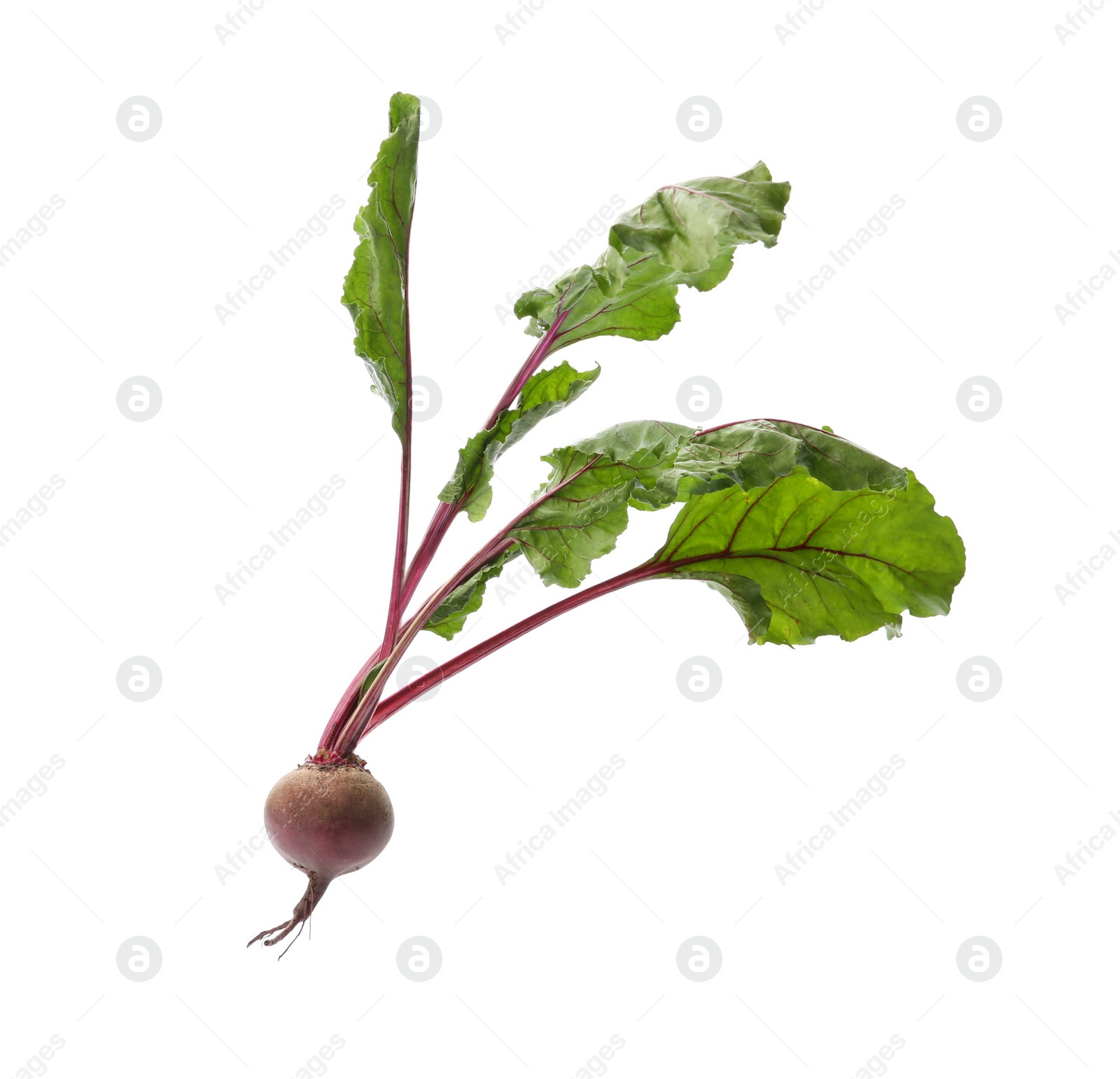 Photo of Fresh beet with leaves on white background