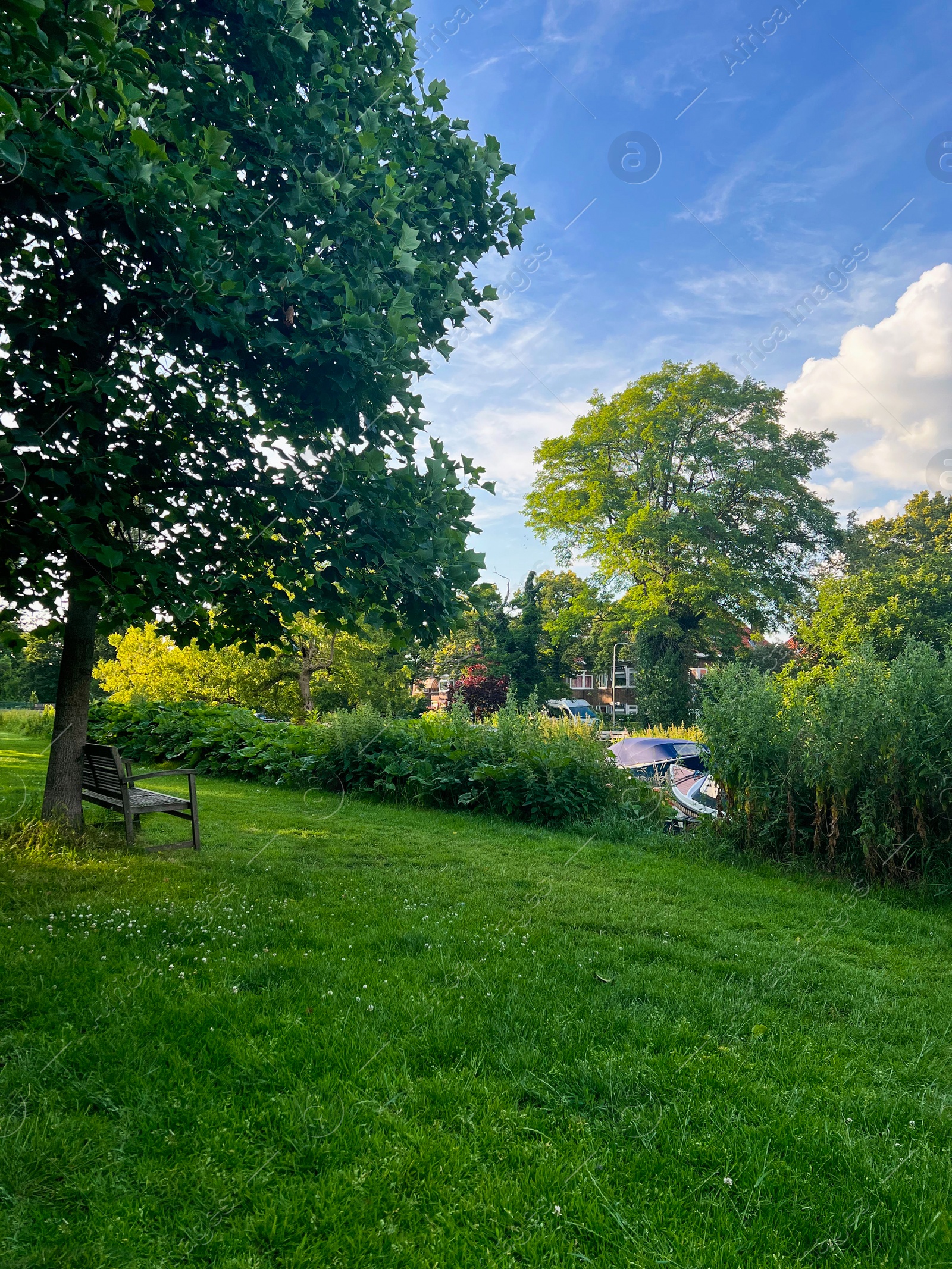 Photo of Picturesque view of beautiful park with fresh green grass and trees on sunny day