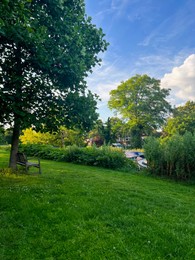 Picturesque view of beautiful park with fresh green grass and trees on sunny day