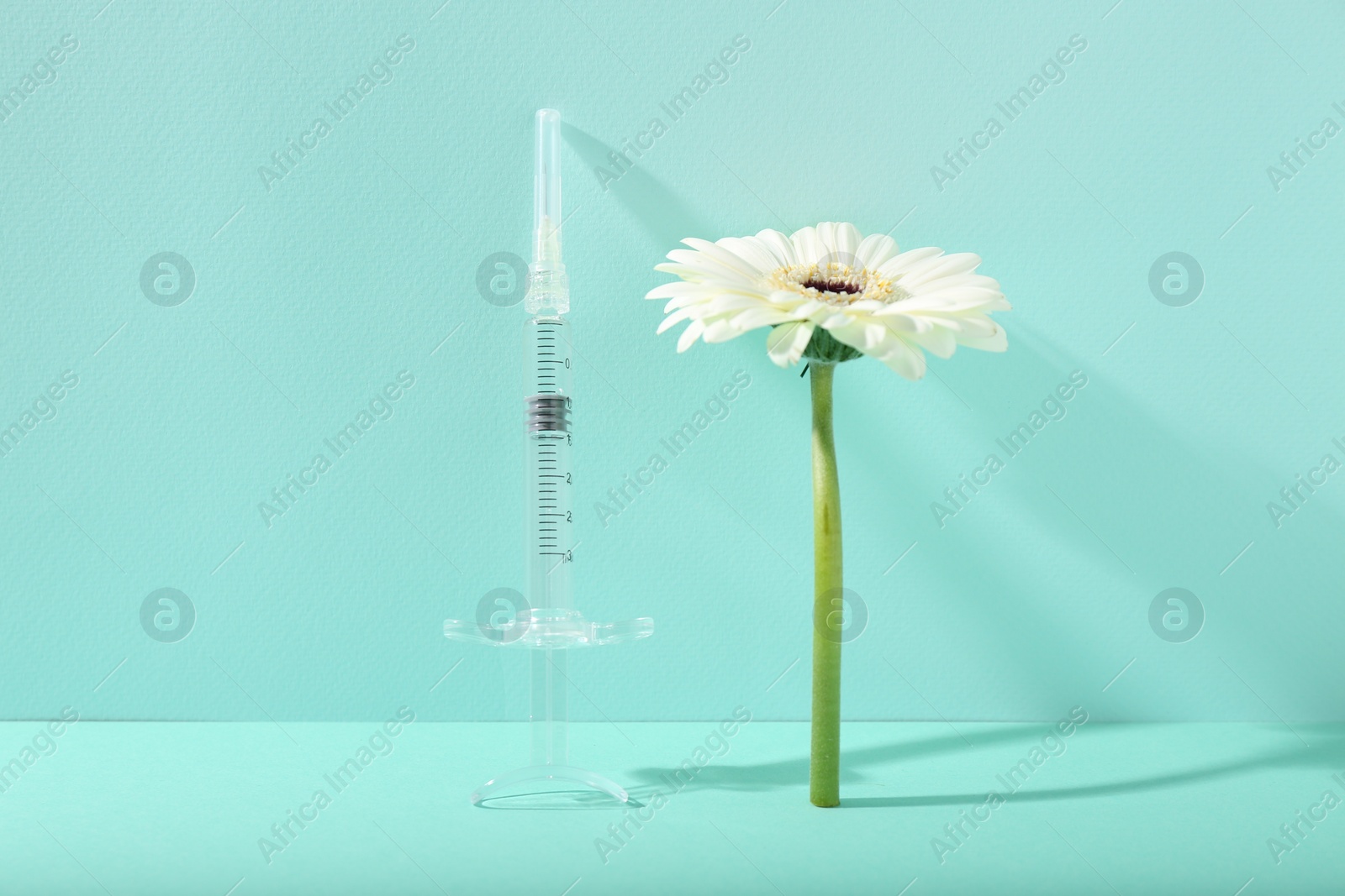 Photo of Cosmetology. Medical syringe and gerbera flower on turquoise background