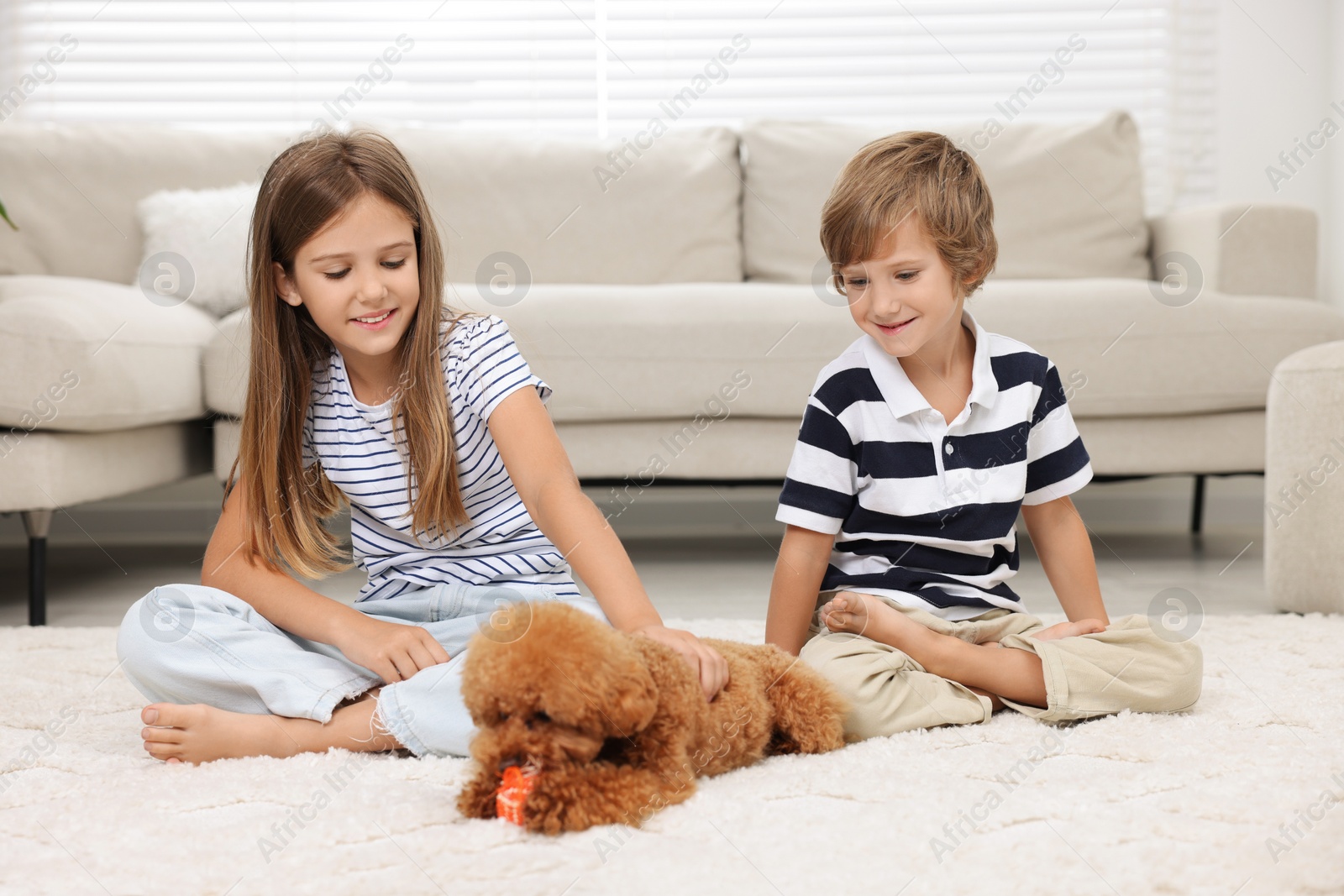 Photo of Little children and cute puppy on carpet at home. Lovely pet