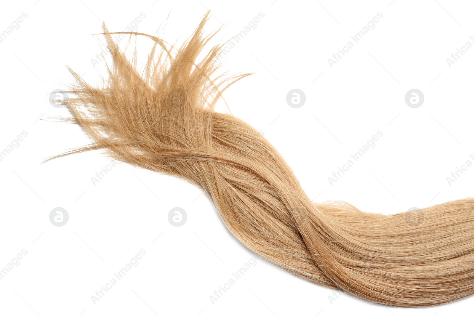 Photo of Lock of healthy blond hair on white background