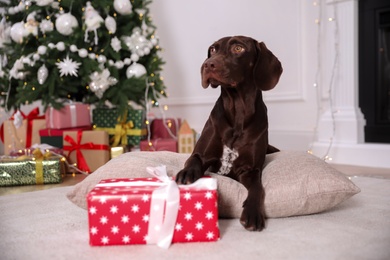 Photo of Cute dog on pillow in room decorated for Christmas