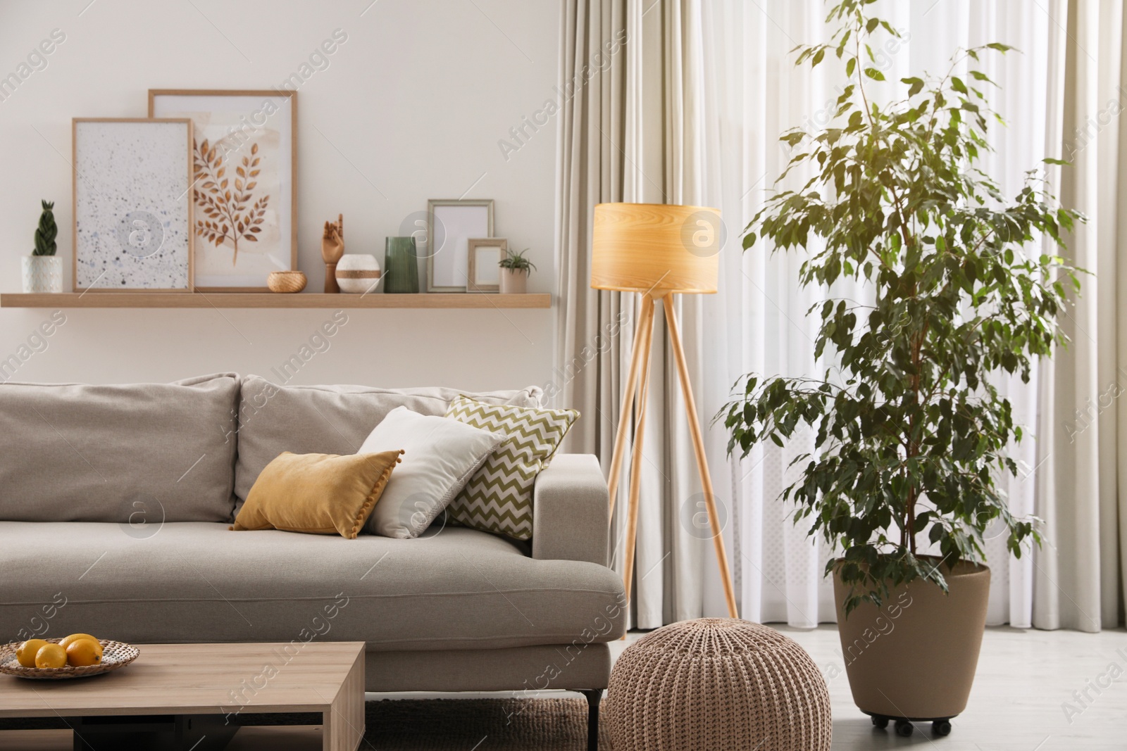 Photo of Stylish living room interior with comfortable grey sofa and coffee table