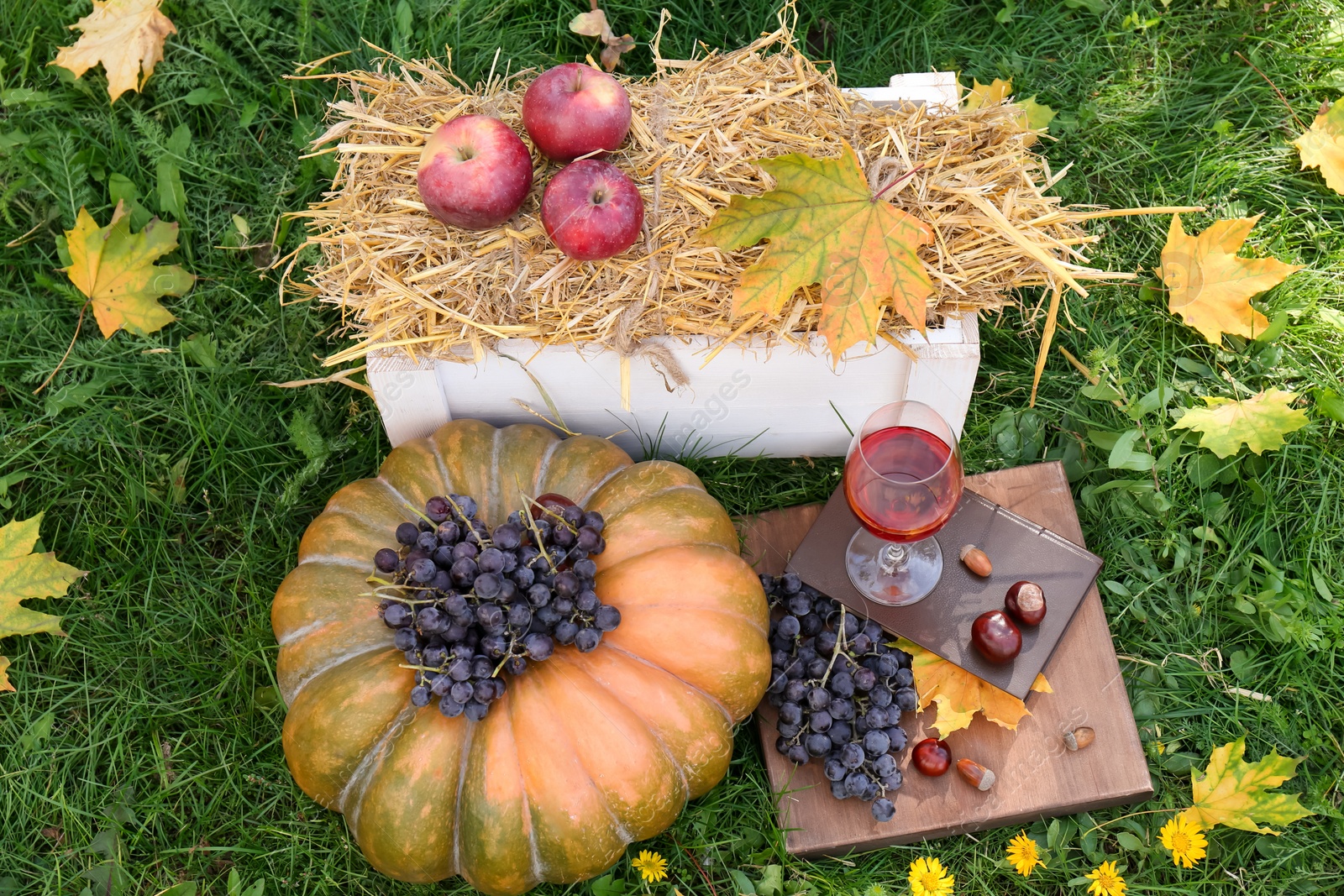 Photo of Glass of wine, book and grapes on green grass, above view. Autumn picnic