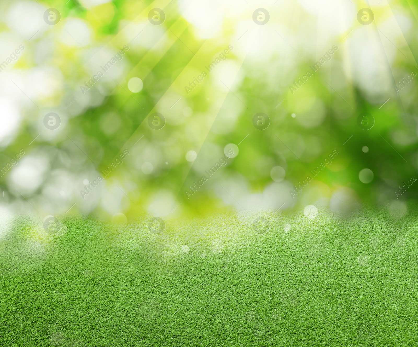 Image of Vibrant green grass outdoors on sunny day