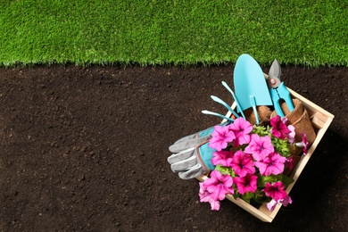 Gardening equipment and flower on soil, top view. Space for text