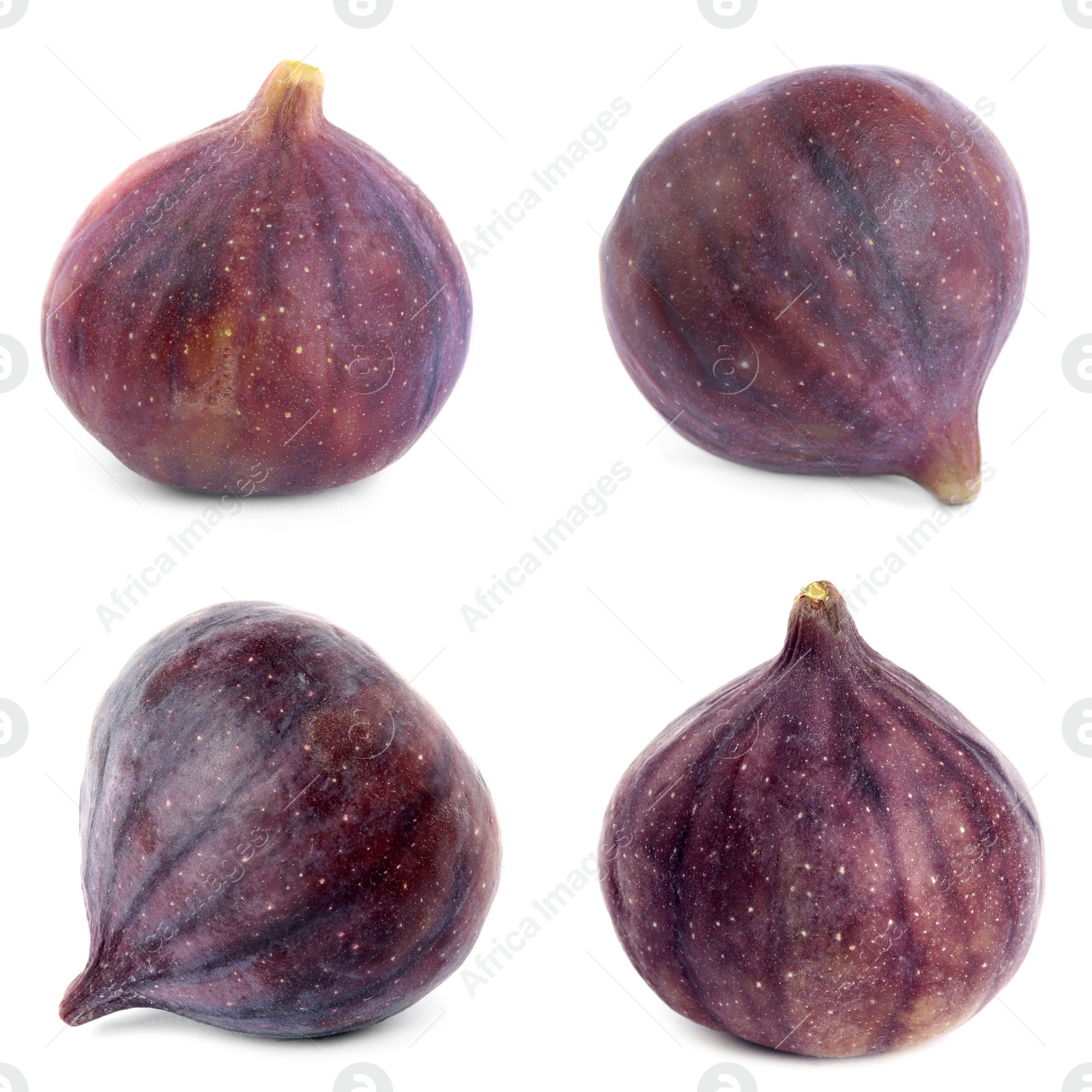 Image of Set of whole figs on white background