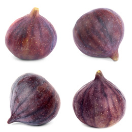 Set of whole figs on white background