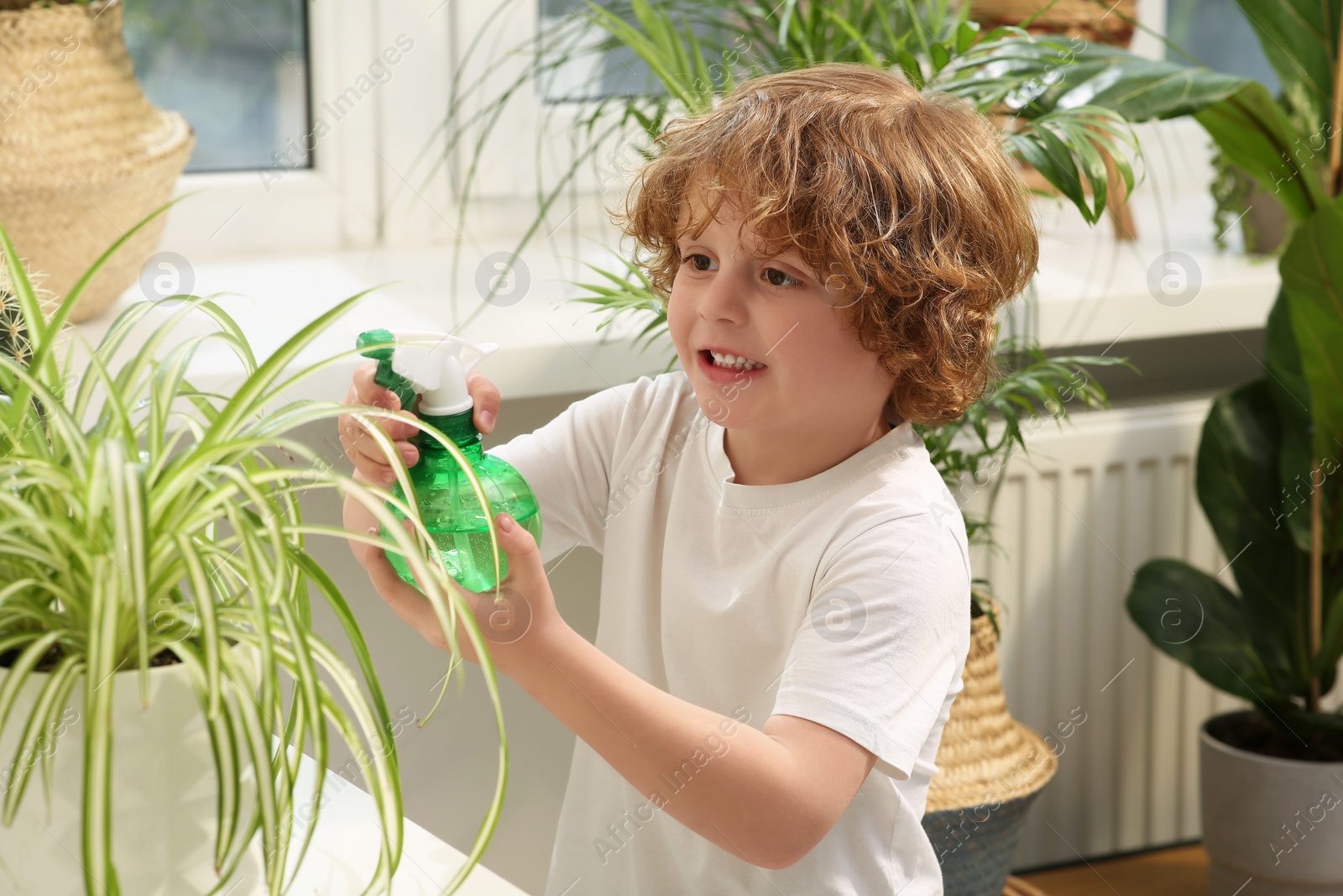 Photo of Cute little boy spraying beautiful green plant at home. House decor