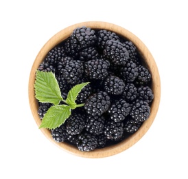 Photo of Bowl with ripe blackberries on white background, top view