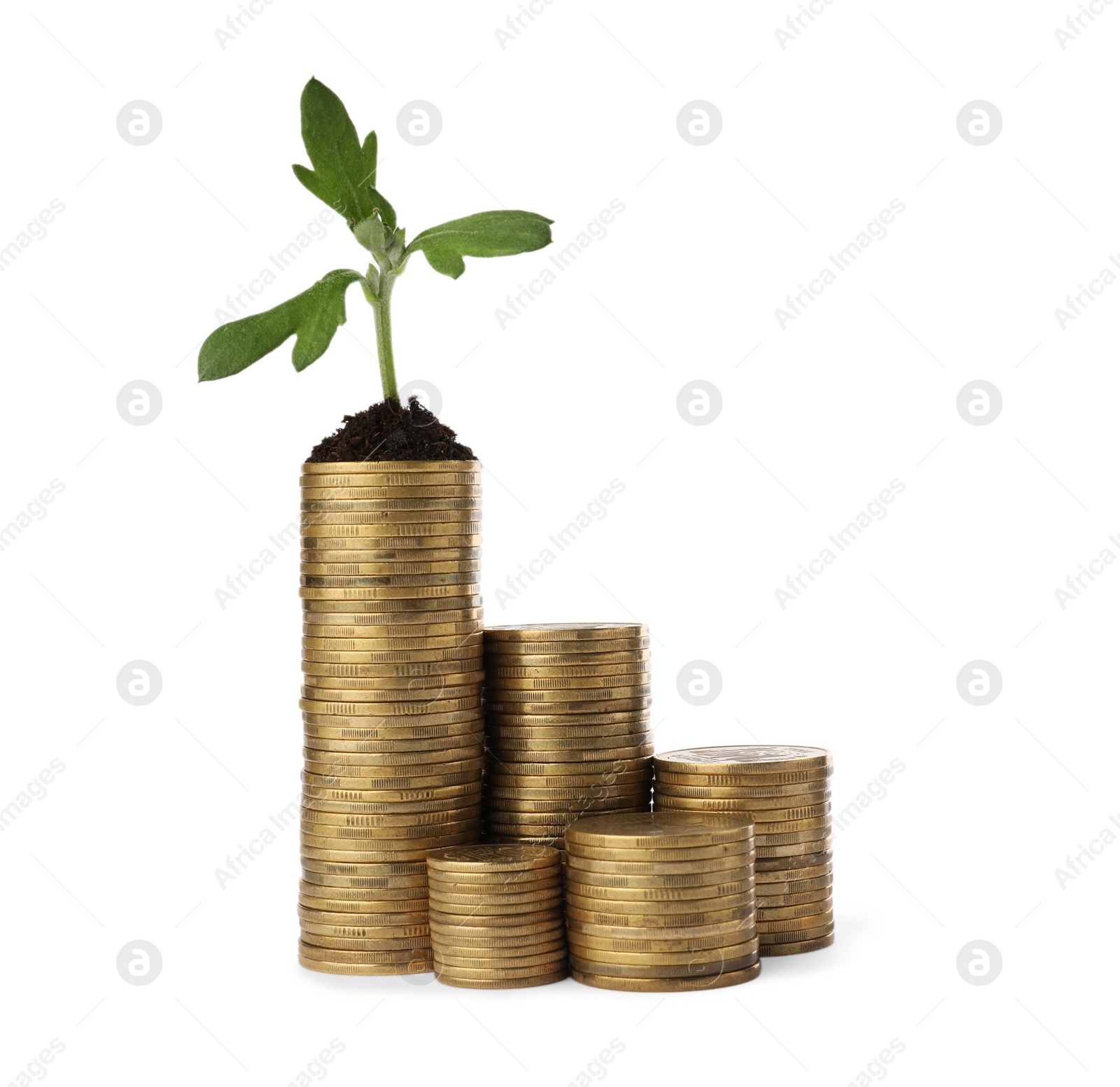 Photo of Stacks of coins and green plant on white background. Investment concept