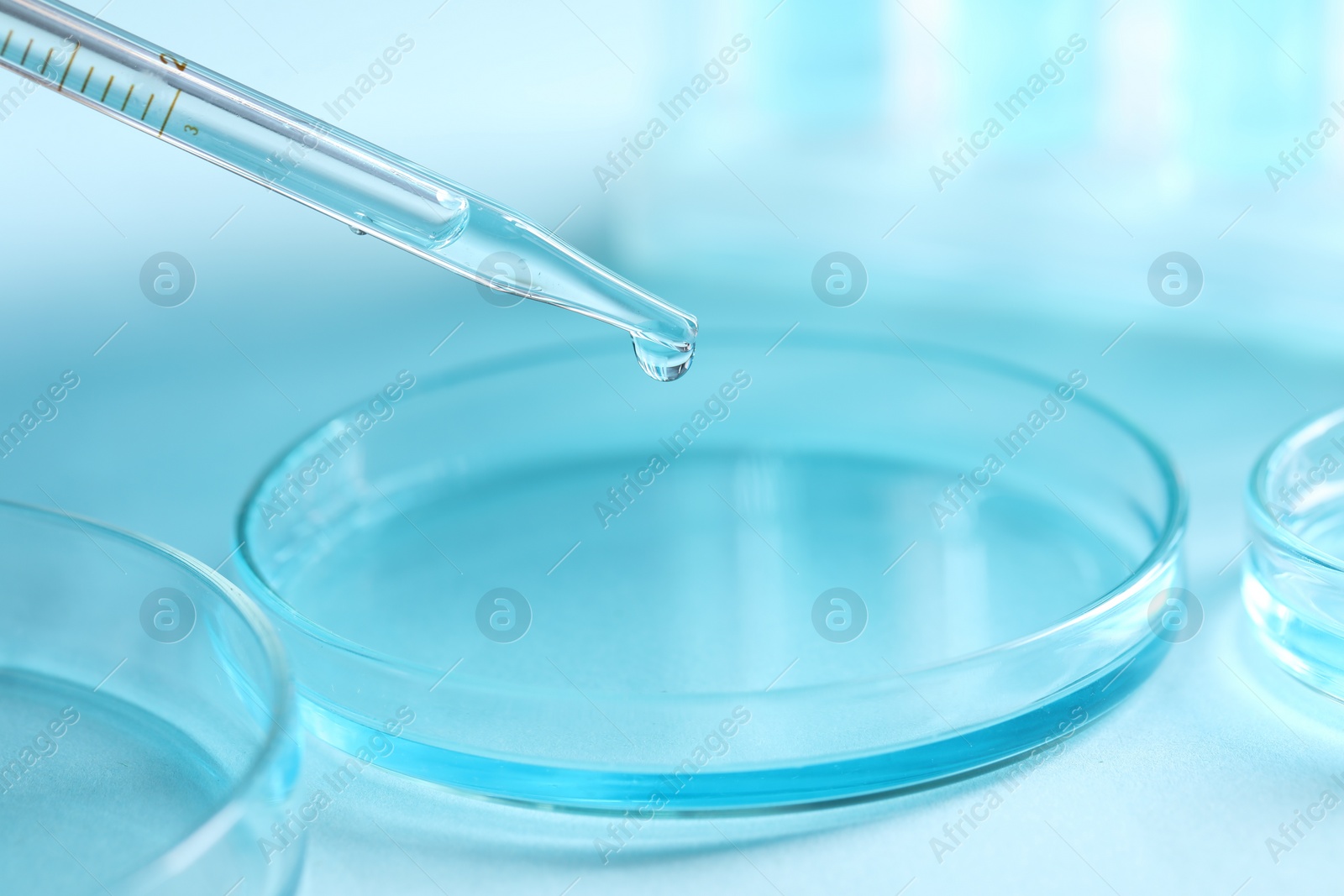 Photo of Dripping liquid from pipette into petri dish on blurred background, closeup. Laboratory analysis